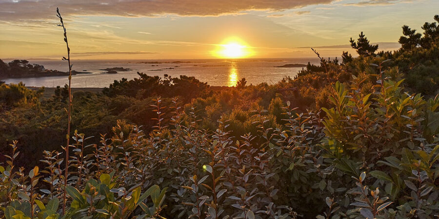 Coucher de soleil depuis la terrasse de la maison en location à Trébeurden